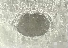  ˮ�ԟo�C(j��)���\����ķ���(y��ng)�C(j��)��ʾ��D