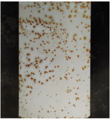 Ϳ���÷��W�P������Щ�N���οƌWʹ���� Ϳ���ھ�,coatingol.com