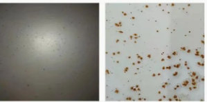 Ϳ���÷��W�P������Щ�N���οƌWʹ���� Ϳ���ھ�,coatingol.com